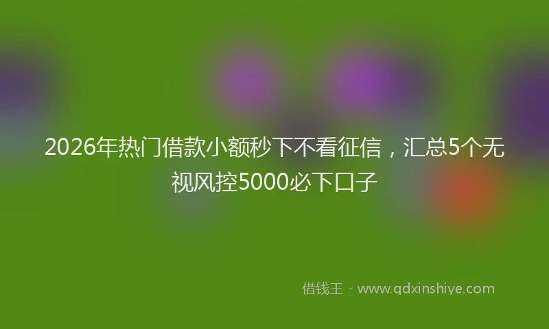 2026年热门借款小额秒下不看征信，汇总5个无视风控5000必下口子