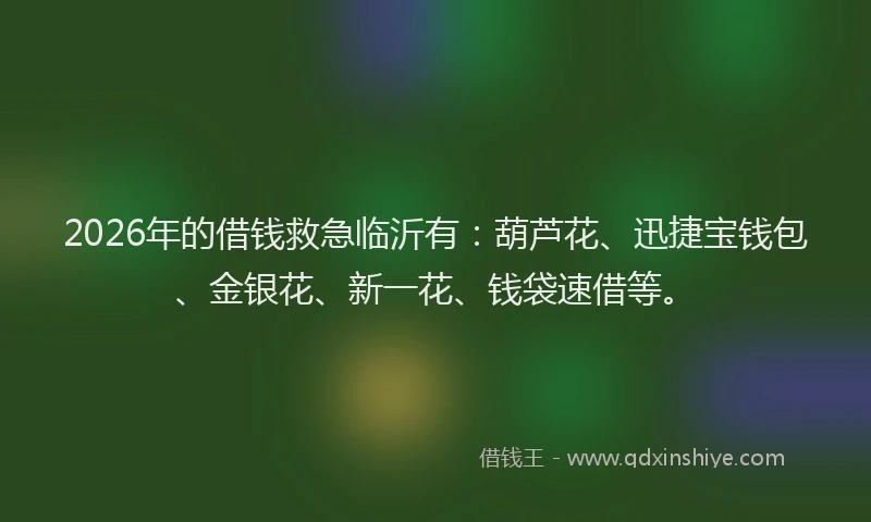2026年的借钱救急临沂有：葫芦花、迅捷宝钱包、金银花、新一花、钱袋速借等。