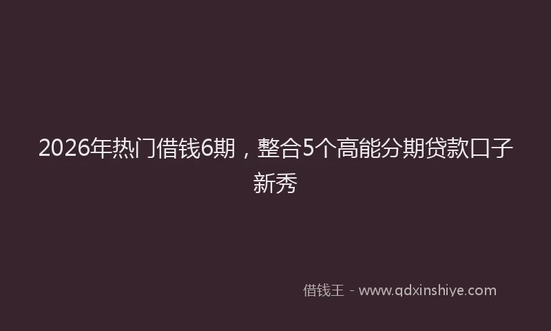 2026年热门借钱6期，整合5个高能分期贷款口子新秀