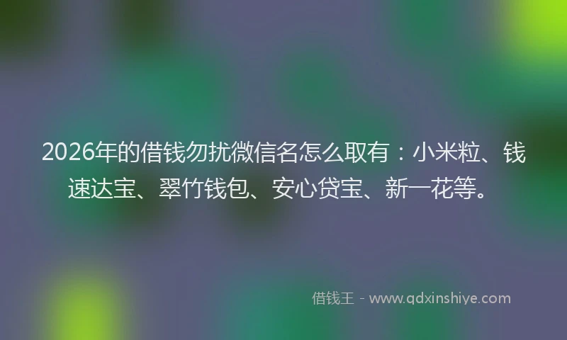 2026年的借钱勿扰微信名怎么取有：小米粒、钱速达宝、翠竹钱包、安心贷宝、新一花等。