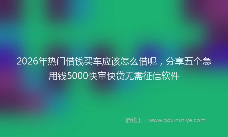 2026年热门借钱买车应该怎么借呢，分享五个急用钱5000快审快贷无需征信软件