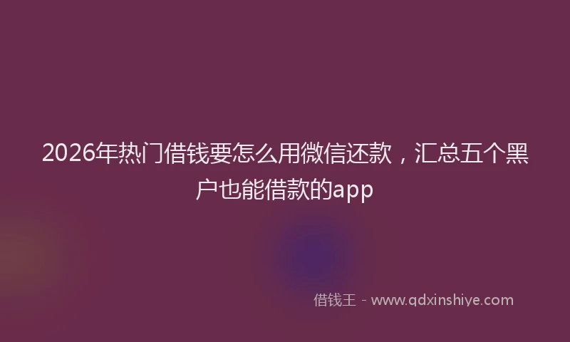 2026年热门借钱要怎么用微信还款，汇总五个黑户也能借款的app