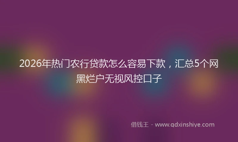 2026年热门农行贷款怎么容易下款，汇总5个网黑烂户无视风控口子