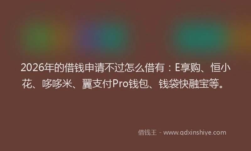 2026年的借钱申请不过怎么借有：E享购、恒小花、哆哆米、翼支付Pro钱包、钱袋快融宝等。