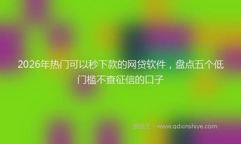 2026年热门可以秒下款的网贷软件，盘点五个低门槛不查征信的口子