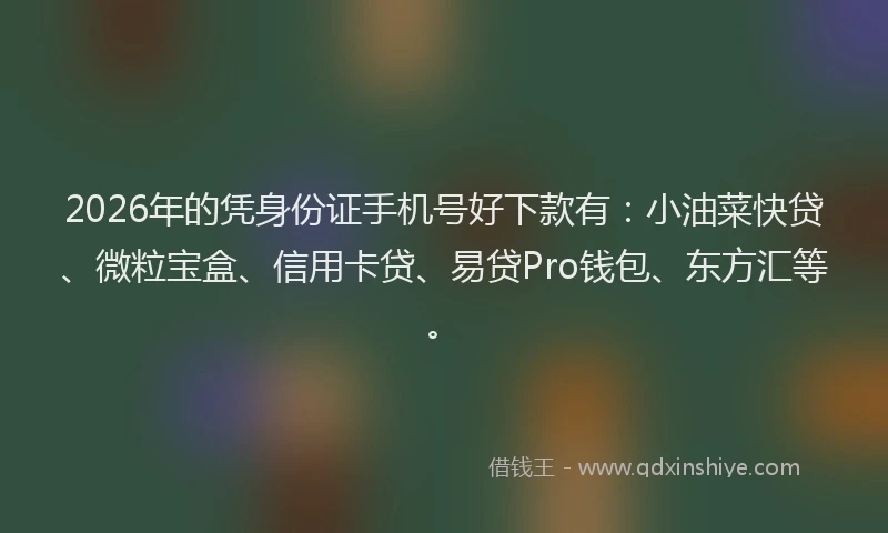 2026年的凭身份证手机号好下款有：小油菜快贷、微粒宝盒、信用卡贷、易贷Pro钱包、东方汇等。