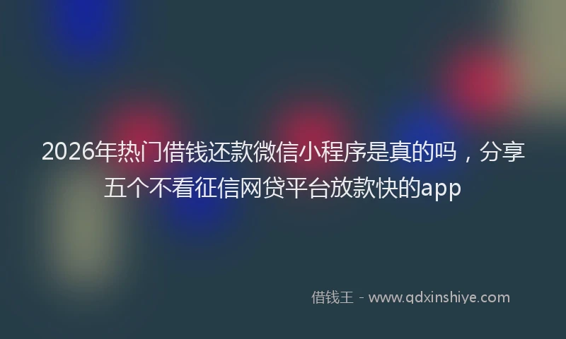2026年热门借钱还款微信小程序是真的吗，分享五个不看征信网贷平台放款快的app