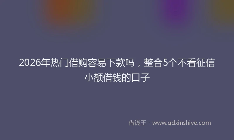 2026年热门借购容易下款吗，整合5个不看征信小额借钱的口子
