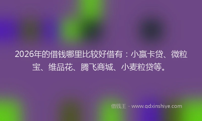 2026年的借钱哪里比较好借有：小赢卡贷、微粒宝、维品花、腾飞商城、小麦粒贷等。