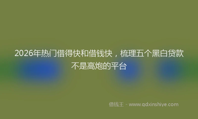 2026年热门借得快和借钱快，梳理五个黑白贷款不是高炮的平台