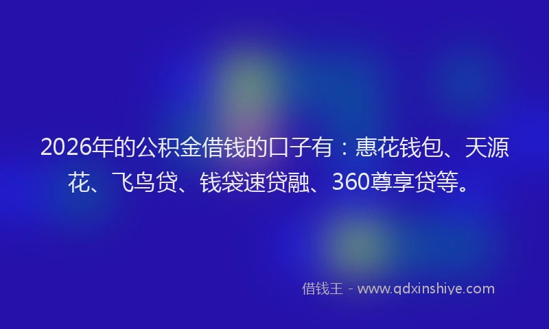 2026年的公积金借钱的口子有：惠花钱包、天源花、飞鸟贷、钱袋速贷融、360尊享贷等。
