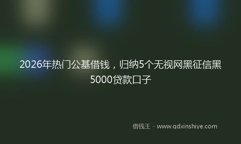 2026年热门公基借钱，归纳5个无视网黑征信黑5000贷款口子