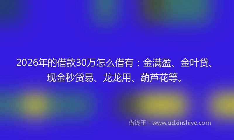 2026年的借款30万怎么借有：金满盈、金叶贷、现金秒贷易、龙龙用、葫芦花等。