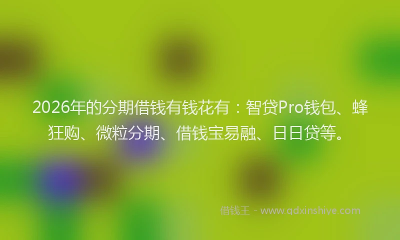 2026年的分期借钱有钱花有：智贷Pro钱包、蜂狂购、微粒分期、借钱宝易融、日日贷等。