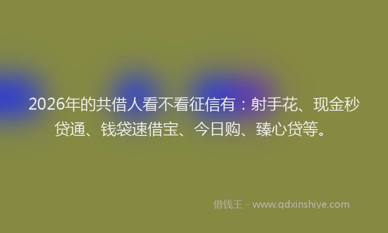 2026年的共借人看不看征信有：射手花、现金秒贷通、钱袋速借宝、今日购、臻心贷等。