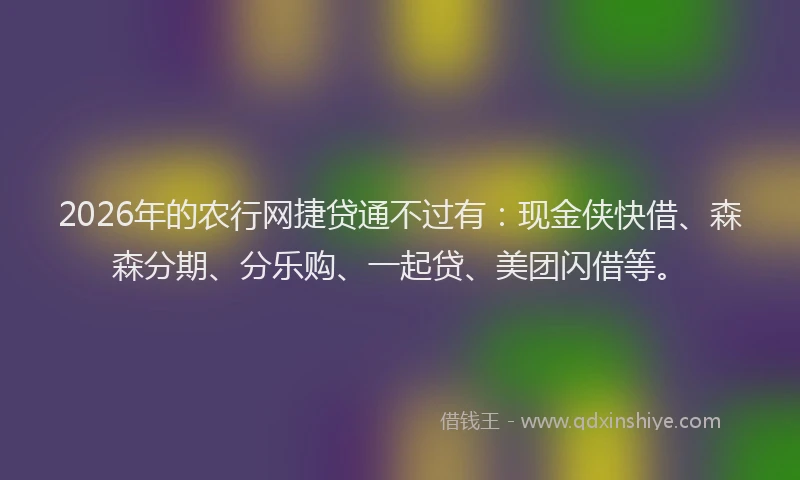 2026年的农行网捷贷通不过有：现金侠快借、森森分期、分乐购、一起贷、美团闪借等。