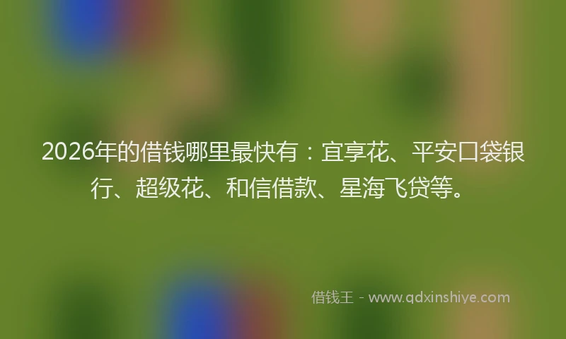 2026年的借钱哪里最快有：宜享花、平安口袋银行、超级花、和信借款、星海飞贷等。