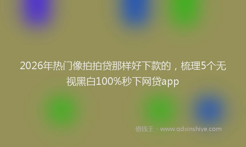 2026年热门像拍拍贷那样好下款的，梳理5个无视黑白100%秒下网贷app