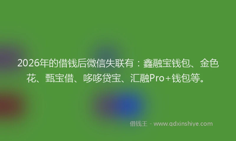 2026年的借钱后微信失联有：鑫融宝钱包、金色花、甄宝借、哆哆贷宝、汇融Pro+钱包等。