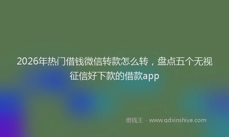 2026年热门借钱微信转款怎么转，盘点五个无视征信好下款的借款app