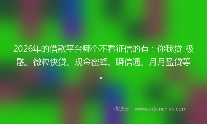 2026年的借款平台哪个不看征信的有：你我贷-极融、微粒快贷、现金蜜蜂、瞬信通、月月盈贷等。