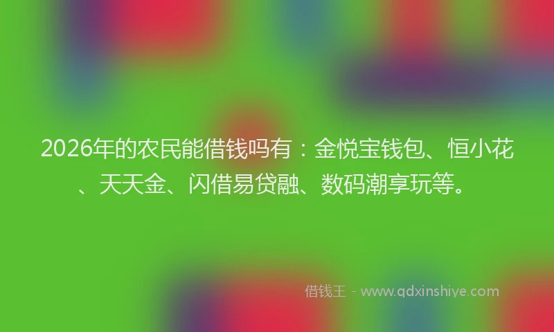 2026年的农民能借钱吗有：金悦宝钱包、恒小花、天天金、闪借易贷融、数码潮享玩等。