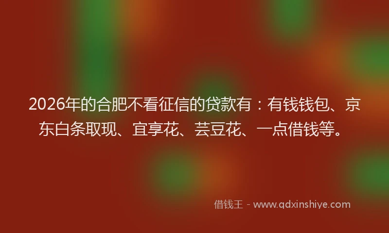 2026年的合肥不看征信的贷款有：有钱钱包、京东白条取现、宜享花、芸豆花、一点借钱等。
