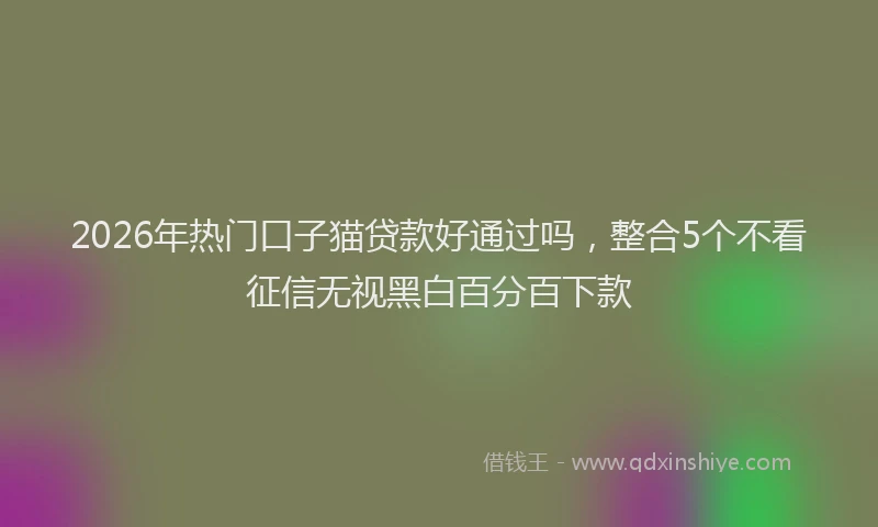 2026年热门口子猫贷款好通过吗，整合5个不看征信无视黑白百分百下款