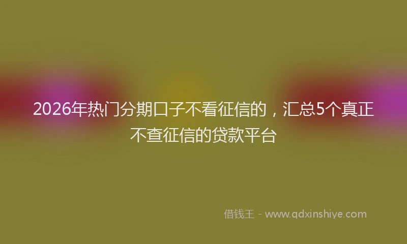 2026年热门分期口子不看征信的，汇总5个真正不查征信的贷款平台