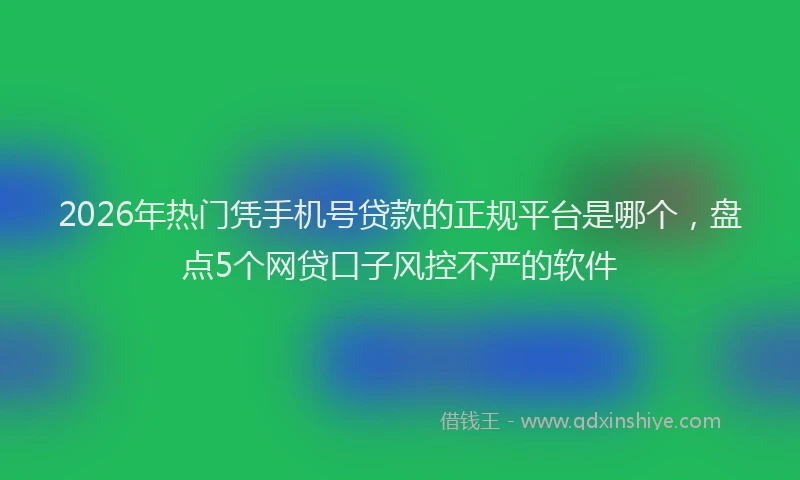 2026年热门凭手机号贷款的正规平台是哪个，盘点5个网贷口子风控不严的软件