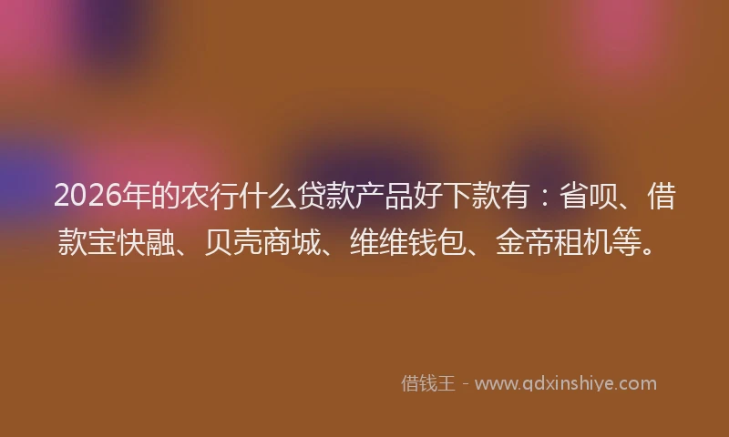 2026年的农行什么贷款产品好下款有：省呗、借款宝快融、贝壳商城、维维钱包、金帝租机等。