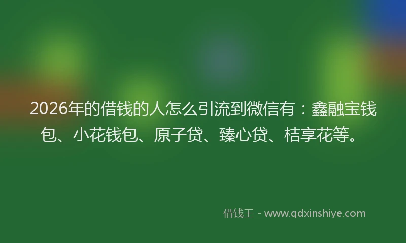 2026年的借钱的人怎么引流到微信有：鑫融宝钱包、小花钱包、原子贷、臻心贷、桔享花等。