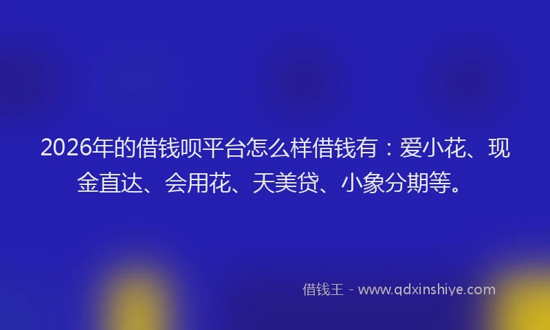 2026年的借钱呗平台怎么样借钱有：爱小花、现金直达、会用花、天美贷、小象分期等。