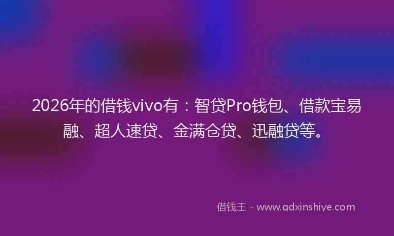 2026年的借钱vivo有：智贷Pro钱包、借款宝易融、超人速贷、金满仓贷、迅融贷等。