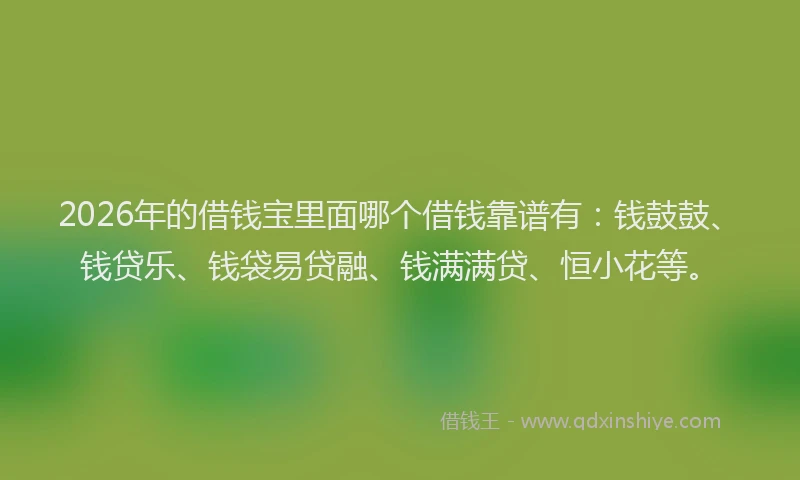 2026年的借钱宝里面哪个借钱靠谱有：钱鼓鼓、钱贷乐、钱袋易贷融、钱满满贷、恒小花等。
