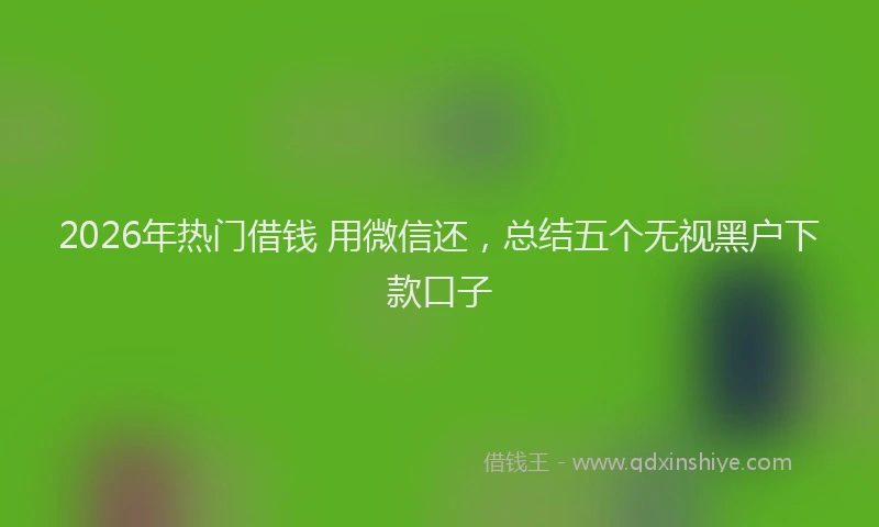 2026年热门借钱 用微信还，总结五个无视黑户下款口子