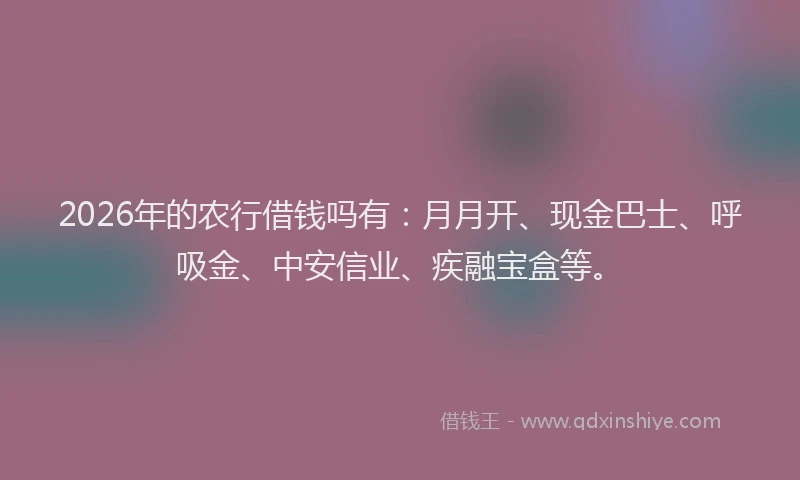 2026年的农行借钱吗有：月月开、现金巴士、呼吸金、中安信业、疾融宝盒等。