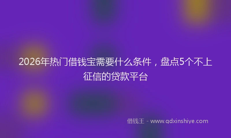 2026年热门借钱宝需要什么条件，盘点5个不上征信的贷款平台
