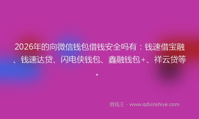 2026年的向微信钱包借钱安全吗有：钱速借宝融、钱速达贷、闪电侠钱包、鑫融钱包+、祥云贷等。