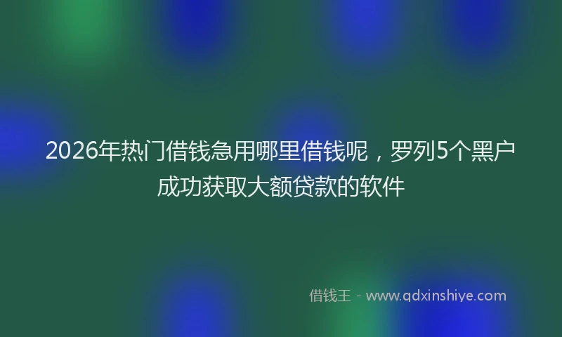 2026年热门借钱急用哪里借钱呢，罗列5个黑户成功获取大额贷款的软件