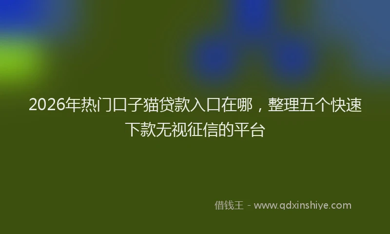 2026年热门口子猫贷款入口在哪，整理五个快速下款无视征信的平台