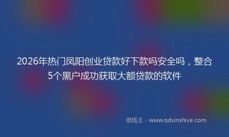 2026年热门凤阳创业贷款好下款吗安全吗，整合5个黑户成功获取大额贷款的软件