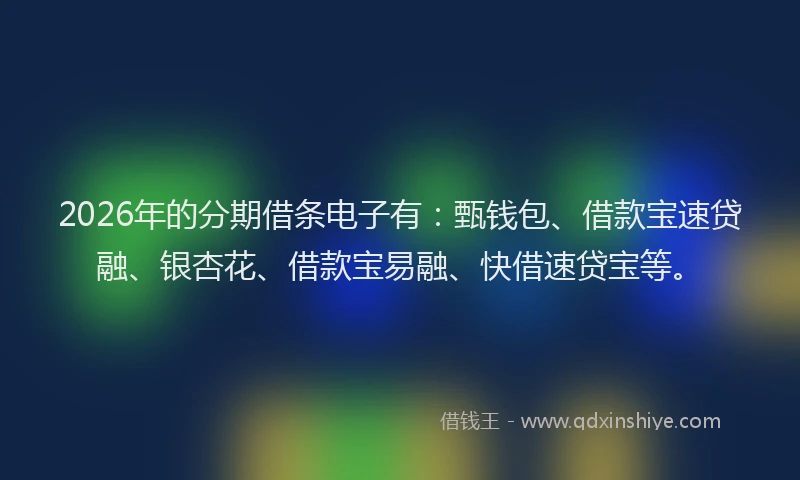 2026年的分期借条电子有：甄钱包、借款宝速贷融、银杏花、借款宝易融、快借速贷宝等。
