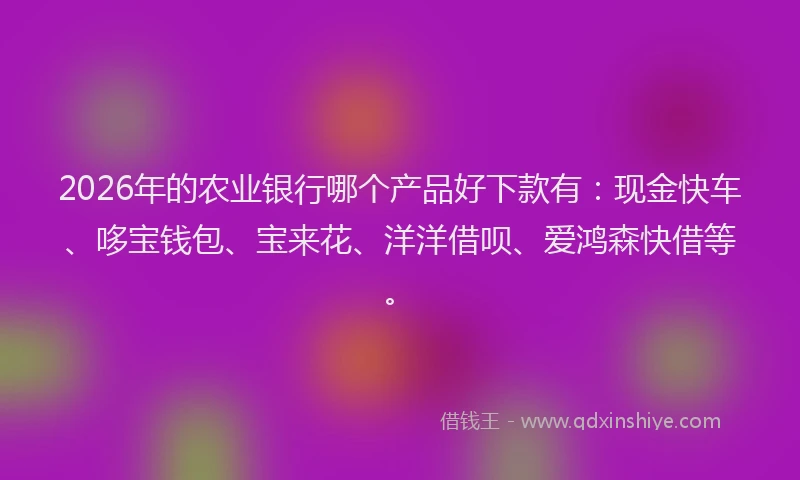 2026年的农业银行哪个产品好下款有:现金快车、哆宝钱包、宝来花、洋洋借呗、爱鸿森快借等。