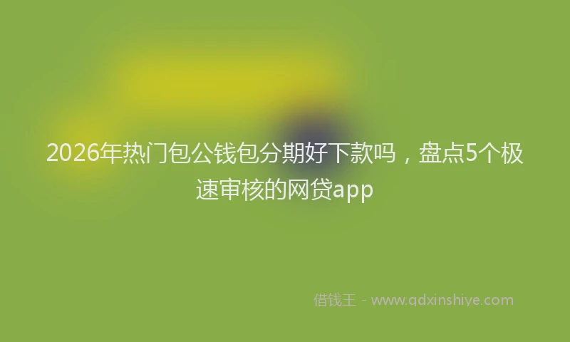 2026年热门包公钱包分期好下款吗，盘点5个极速审核的网贷app