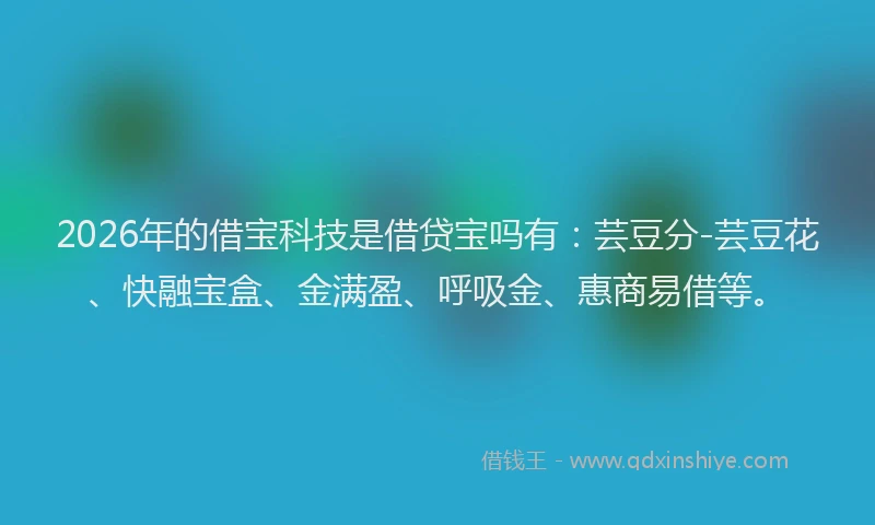 2026年的借宝科技是借贷宝吗有：芸豆分-芸豆花、快融宝盒、金满盈、呼吸金、惠商易借等。