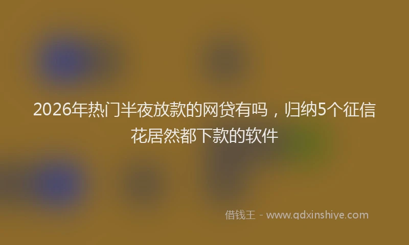 2026年热门半夜放款的网贷有吗，归纳5个征信花居然都下款的软件