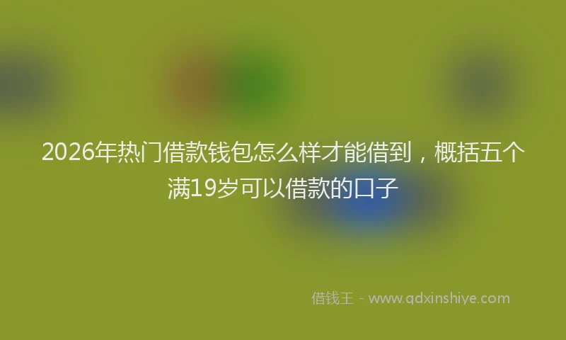 2026年热门借款钱包怎么样才能借到，概括五个满19岁可以借款的口子