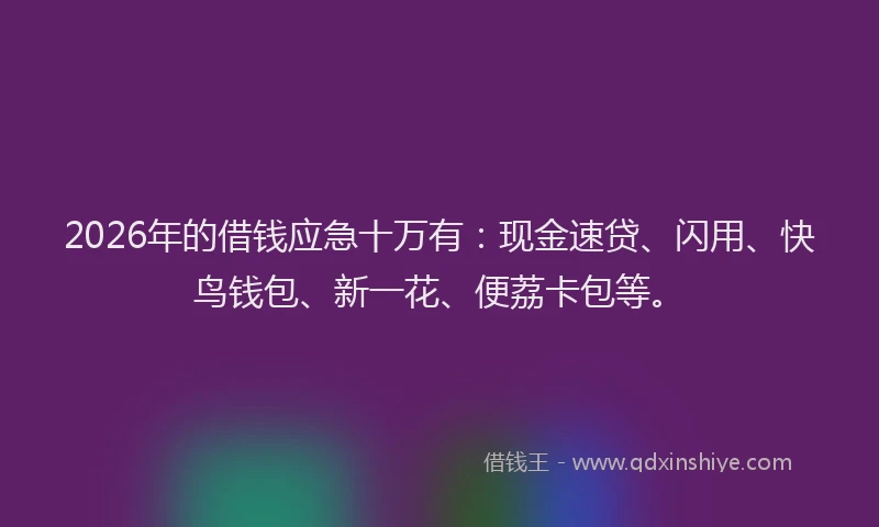 2026年的借钱应急十万有：现金速贷、闪用、快鸟钱包、新一花、便荔卡包等。