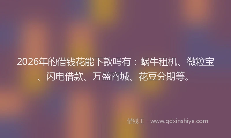 2026年的借钱花能下款吗有：蜗牛租机、微粒宝、闪电借款、万盛商城、花豆分期等。